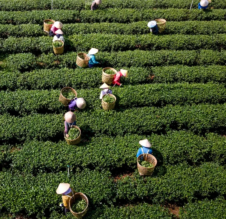 Procesos agrícolas sostenibles
