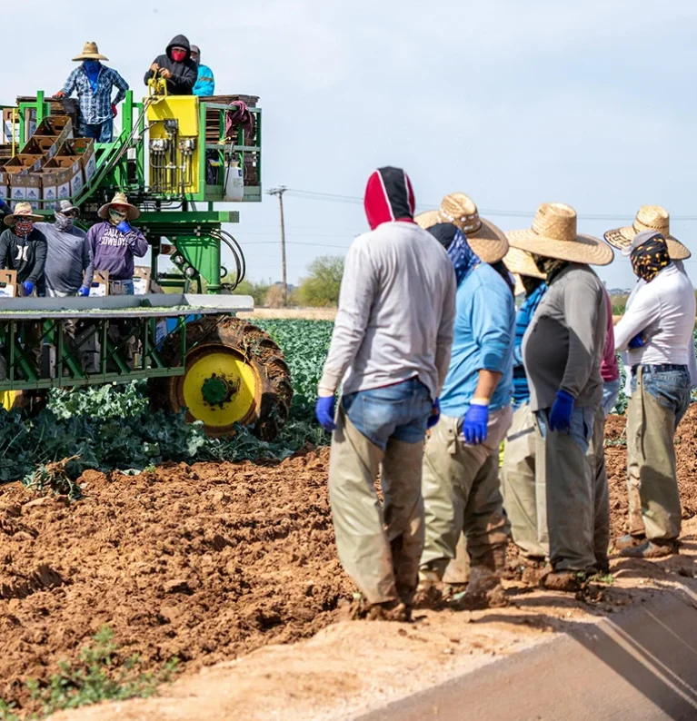 Procesos agrícolas sostenibles