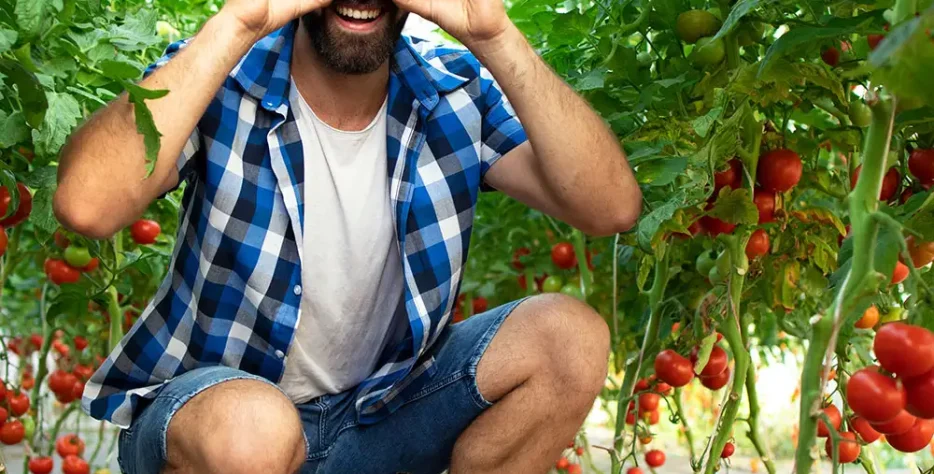 We grow fresh, organic produce using clean methods that protect nature, healthy food.