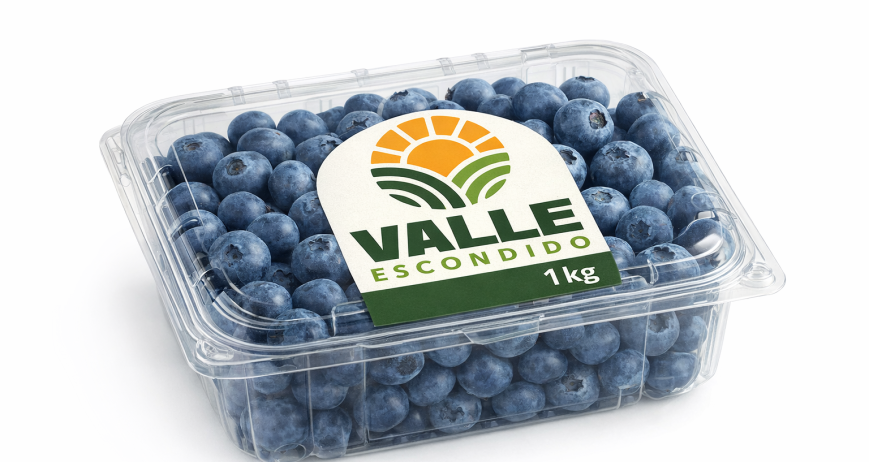 Arándanos frescos de alta calidad, pensados para quienes valoran una alimentación saludable, natural y de origen confiable.