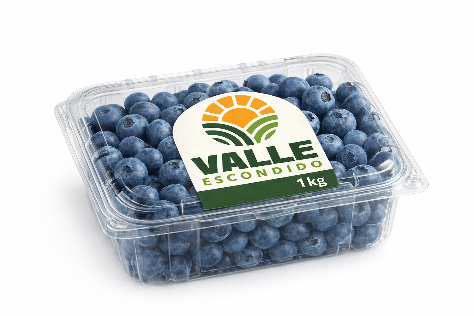 Arándanos frescos de alta calidad, pensados para quienes valoran una alimentación saludable, natural y de origen confiable.